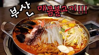 [부산 서면 맛집] 구워삶기 매콤불고기 먹방 #부산여행