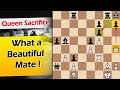 what a beautiful mate ! | Anderson vs Garbett 1977