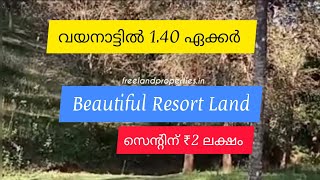 1.40 Acre Beautiful Resort Land For Sale | Vythiri | Wayanad (സെന്റ്‌ 2 ലക്ഷം )