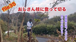 #35 草刈り　道路側の枝を全てノコギリで切り倒す