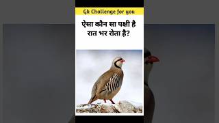 ऐसा कौन सा पक्षी है जो रात भर रोता है #gk #question #of #learing #viralshort #generalknowledge