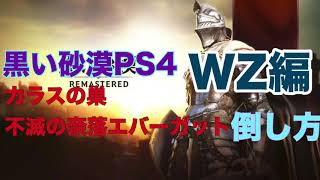 【黒い砂漠PS4】WZ編･カラスの巣(不滅の奈落)エバーガットの倒し方