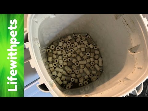 Cleaning a Sunsun Canister filter Cleaning a Sunsun Canister filter