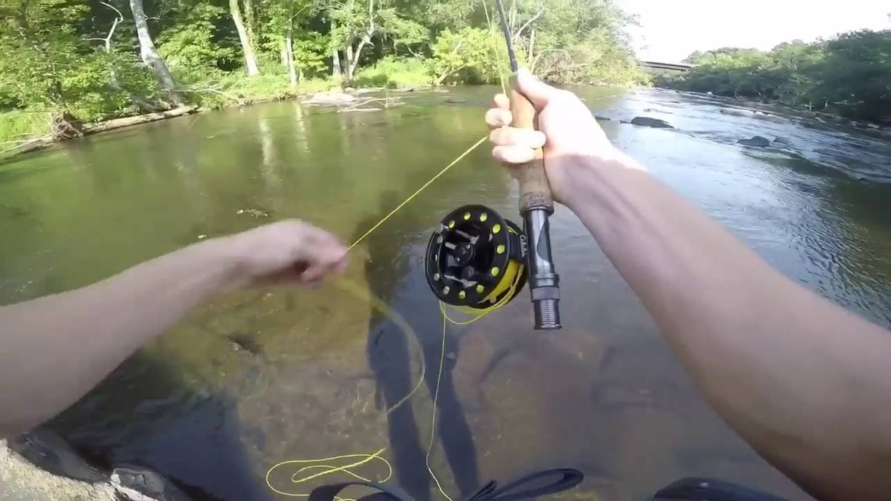 Fly Fishing For Bluegill - YouTube