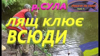 Сула # Знайшов рибне місце #РибачуЯкУмію