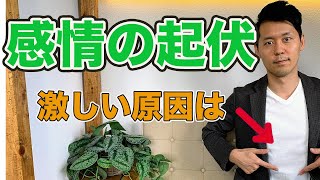 感情の起伏が激しい原因は内臓にあります！【心と体のプロが解説】