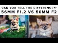 Blind Test: Fuji 56mm f1.2 vs Fuji 50mm f2