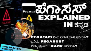 Pegasus explained in kannada | ಪೆಗಾಸಸ್ ಕನ್ನಡ #pegasus,what is pegasus?