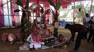 Joyous Daytime Kirtan: Hare Krishna Celebration at Guru Sri Kailash Jena's Home in Dhanamandala 2023