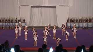 OCF Provincials 2013:   Wolverine Elite - AS MN1