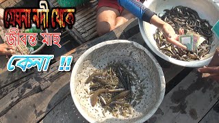 মেঘনা নদীর সুস্বাদু ছোট মাছ কেনা/Biggest River Fish Market/নদী থেকে দেশী মাছ কেনা/মেঘনা  জীবন্ত মাছ