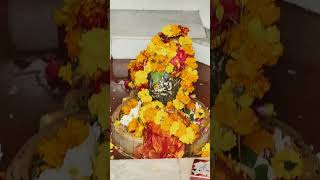 #pahadijoshi #short video#viral video#han to bin bole sab deta#har har Mahadev