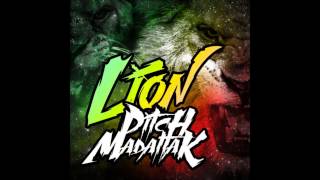 Pitch - Lion