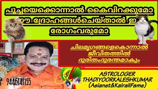 പൂച്ചേകൊന്നാൽ കൈവിറക്കുമോഈദ്രോഹങ്ങൾ ചെയ്താൽരോഗംവരുമോ9446141155Thadiyoorkaleshkumar(Asianet\u0026Kairalifa