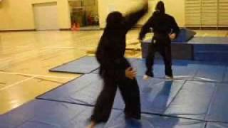 Team Jeet Kune Do ninja Fight