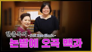 찬송가 시리즈 77 [추수감사절] - 논밭에 오곡 백과 (찬송가 590장)