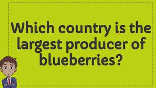 Which country is the largest producer of blueberries?