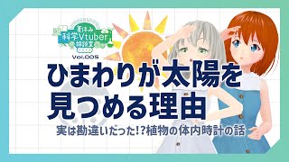 ひまわりはどうして太陽の方を向くの？【夏休み科学Vtuber相談室2022 Vol. 5】