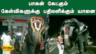 பாகன் கேட்கும் கேள்விகளுக்கு பதிலளிக்கும் யானை | Srirangam Elephant