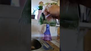 How To Clean Your Bong With Clean Green