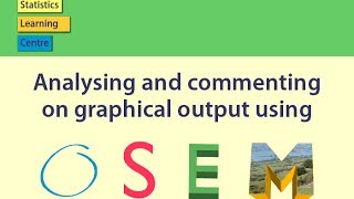 Analysing and commenting on graphical output using OSEM