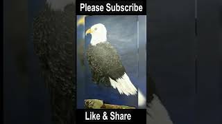 Acrylic Wildlife Eagle Paintings #shorts