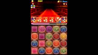 【パズドラ】ヘラ・ウルズ降臨（5×4マス） ツバキPT ノーコン