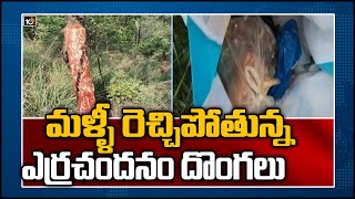 మళ్ళీ రెచ్చిపోతున్న ఎర్రచందనం దొంగలు | Red Sandalwood Smugglers Halchal In Kadapa | 10TV News