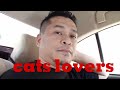 CATS LOVERS  OFFICIAL is live!