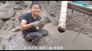 【阿向趕海】面積半畝的」天王坑」 抽乾遍地是300一斤靚貨 魚貨賣了1330 賺翻