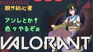 【VALORANT】ヴァロやるで～【参加型】