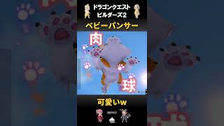 【ドラクエビルダーズ２】ベビーパンサーを愛でるショート動画 #shorts