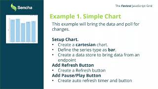 Interactive Dashboards with Ext JS: Building Live Charts and Real-Time Analytics