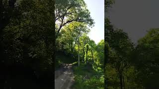 طبیعتگردی/شمالگردی/طبیعت زیبای روستا#شمالگردی #طبیعتگردی #nature