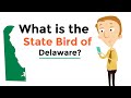 delaware for kids us states learning video