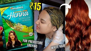 *6 HOURS PROCESS* Himalaya Natural Shine Henna Powder Review \u0026 Demo | Henna for white hair greying