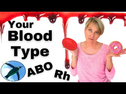Blood Types: ABO and Rh (with donuts and sprinkles!) Blood Types: ABO and Rh (with donuts and sprinkles!)