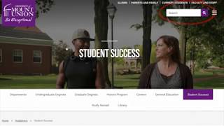 Website Navigation - Using Search