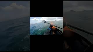 TML 西貢獨木舟 Kayaking 半日遊。綠蛋島。貓石。大癩痢。平面洲。牛尾洲