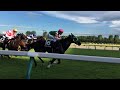 新潟競馬 直線1000m 現地