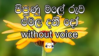 Pipunu Male Ruwa Karaoke (without voice) පිපුණු මලේ රුව එමල දනීදෝ