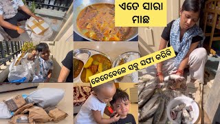 ଆସିଲାବେଳେ ଓଡିଶାରୁ ଆଣିକି ଆସିଥିଲି ଏତେ ସାରା ମାଛ।।କେମିତି ନିଜେ ସବୁ ସଫା କଲି // ମାଛ ବେସର ବନେଇଲି ଆଉ ମାଛ ମସଲା