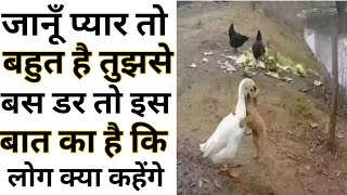 Some Very Funny Memes Video - By Anand Facts | Funny videos | Amazing Facts | #shorts