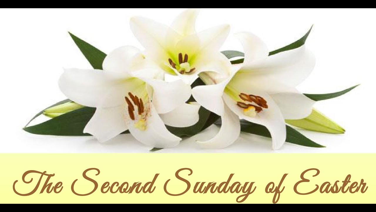 Holy Sacrament The Second Sunday Of Easter - YouTube