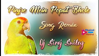 Pinjre Main Popat Bole Dj Song (2020 Best Dj Song) Dj Siraj Smiley Remix |Musical Monirul