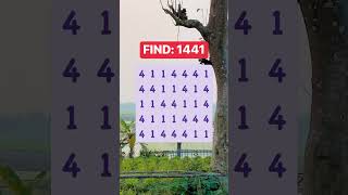 Observation Visual Test: 5 Seconds For You To Spot 1441. Try Your Skills!  #search #puzzle #shorts