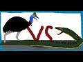 Pivot Battle Arena: Anaconda VS Cassowary