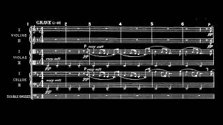 Schoenberg: Verklärte Nacht (Norwegian Chamber Orchestra)