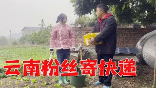 云南的粉丝每年固定寄来天麻，让大姐煲汤喝，勇哥计划给她回礼【乡村大姐】