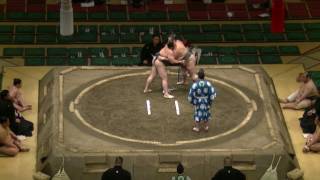 翔傑-千代の勝/2017.5.22/shoketsu-chiyonokatsu/day9 #sumo